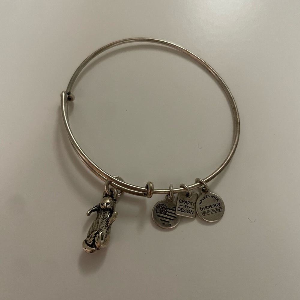 Vintage Silver Alex and Ani Otter Bracelet